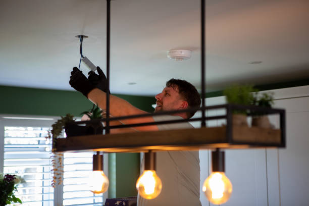 Best Electric Panel Repair  in Lula, GA
